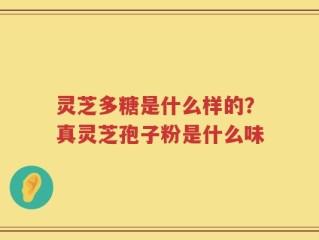 灵芝多糖是什么样的？真灵芝孢子粉是什么味