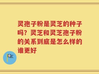 灵孢子粉是灵芝的种子吗？灵芝和灵芝孢子粉的关系到底是怎么样的谁更好