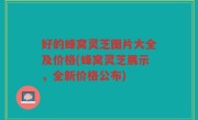 好的蜂窝灵芝图片大全及价格(蜂窝灵芝展示，全新价格公布)