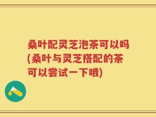 桑叶配灵芝泡茶可以吗(桑叶与灵芝搭配的茶可以尝试一下哦)