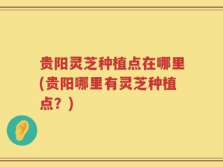 贵阳灵芝种植点在哪里(贵阳哪里有灵芝种植点？)