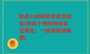 刺虎十四阿哥和灵芝初见(刺虎十四阿哥和灵芝初见：一段惊艳的相遇)