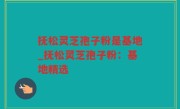 抚松灵芝孢子粉是基地_抚松灵芝孢子粉：基地精选