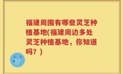 福建周围有哪些灵芝种植基地(福建周边多处灵芝种植基地，你知道吗？)