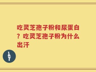吃灵芝孢子粉和尿蛋白？吃灵芝孢子粉为什么出汗