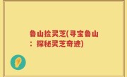 鲁山捡灵芝(寻宝鲁山：探秘灵芝奇迹)