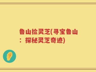 鲁山捡灵芝(寻宝鲁山：探秘灵芝奇迹)