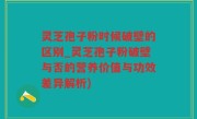 灵芝孢子粉时候破壁的区别_灵芝孢子粉破壁与否的营养价值与功效差异解析)