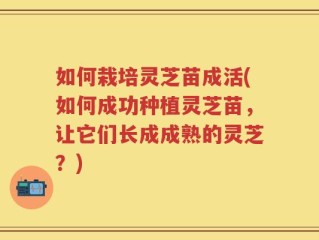 如何栽培灵芝苗成活(如何成功种植灵芝苗，让它们长成成熟的灵芝？)
