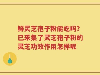 鲜灵芝孢子粉能吃吗？已采集了灵芝孢子粉的灵芝功效作用怎样呢