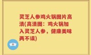 灵芝人参鸡火锅图片高清(高清图：鸡火锅加入灵芝人参，健康美味两不误)