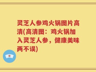 灵芝人参鸡火锅图片高清(高清图：鸡火锅加入灵芝人参，健康美味两不误)
