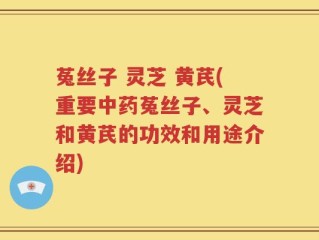 菟丝子 灵芝 黄芪(重要中药菟丝子、灵芝和黄芪的功效和用途介绍)