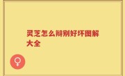 灵芝怎么辩别好坏图解大全