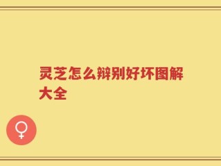 灵芝怎么辩别好坏图解大全
