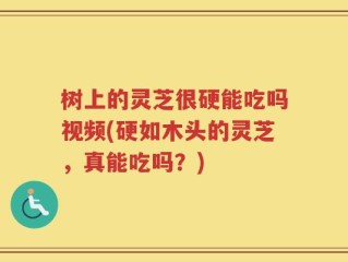 树上的灵芝很硬能吃吗视频(硬如木头的灵芝，真能吃吗？)