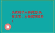 头皮精华人参灵芝(头皮之宝：人参灵芝精华)