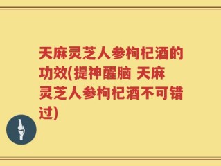 天麻灵芝人参枸杞酒的功效(提神醒脑 天麻灵芝人参枸杞酒不可错过)