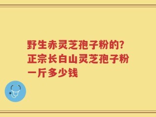 野生赤灵芝孢子粉的？正宗长白山灵芝孢子粉一斤多少钱