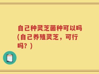 自己种灵芝菌种可以吗(自己养殖灵芝，可行吗？)