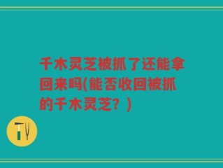 千木灵芝被抓了还能拿回来吗(能否收回被抓的千木灵芝？)