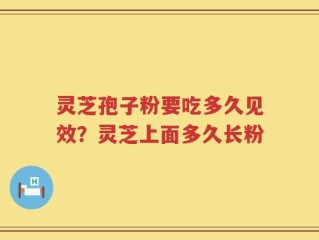 灵芝孢子粉要吃多久见效？灵芝上面多久长粉