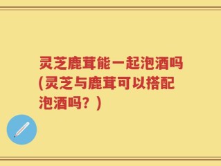 灵芝鹿茸能一起泡酒吗(灵芝与鹿茸可以搭配泡酒吗？)