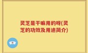 灵芝是干嘛用的呀(灵芝的功效及用途简介)
