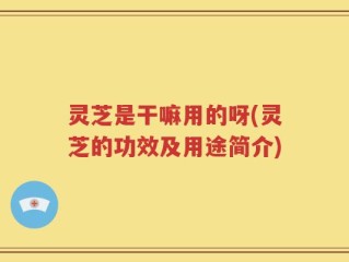 灵芝是干嘛用的呀(灵芝的功效及用途简介)