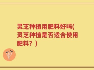 灵芝种植用肥料好吗(灵芝种植是否适合使用肥料？)