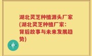 湖北灵芝种植源头厂家(湖北灵芝种植厂家：背后故事与未来发展趋势)