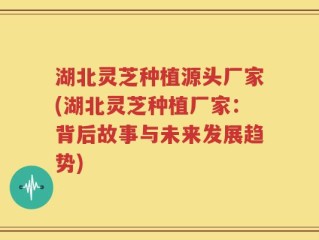 湖北灵芝种植源头厂家(湖北灵芝种植厂家：背后故事与未来发展趋势)