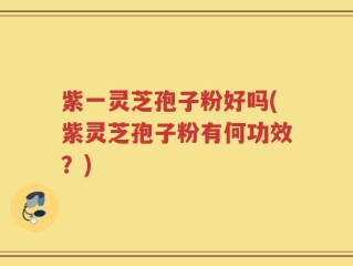 紫一灵芝孢子粉好吗(紫灵芝孢子粉有何功效？)
