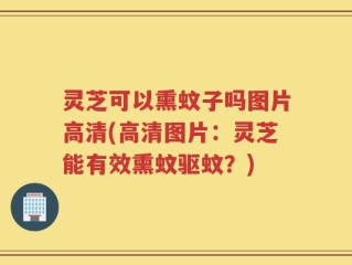 灵芝可以熏蚊子吗图片高清(高清图片：灵芝能有效熏蚊驱蚊？)