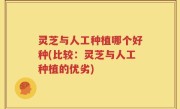 灵芝与人工种植哪个好种(比较：灵芝与人工种植的优劣)
