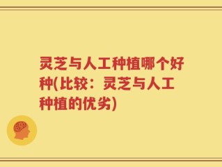 灵芝与人工种植哪个好种(比较：灵芝与人工种植的优劣)