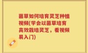 菌草如何培育灵芝种植视频(学会以菌草培育高效栽培灵芝，看视频易入门)