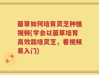 菌草如何培育灵芝种植视频(学会以菌草培育高效栽培灵芝，看视频易入门)