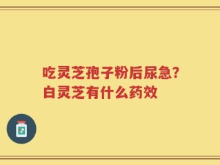 吃灵芝孢子粉后尿急？白灵芝有什么药效