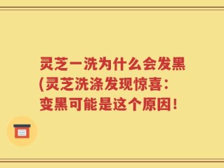灵芝一洗为什么会发黑(灵芝洗涤发现惊喜：变黑可能是这个原因！