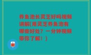 养鱼池长灵芝好吗视频讲解(用灵芝养鱼池有哪些好处？一分钟视频带你了解！)