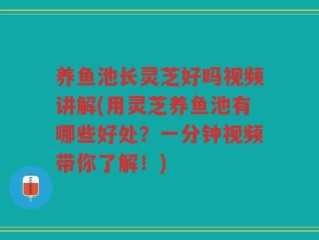 养鱼池长灵芝好吗视频讲解(用灵芝养鱼池有哪些好处？一分钟视频带你了解！)