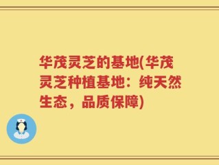 华茂灵芝的基地(华茂灵芝种植基地：纯天然生态，品质保障)
