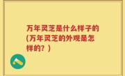 万年灵芝是什么样子的(万年灵芝的外观是怎样的？)