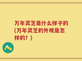 万年灵芝是什么样子的(万年灵芝的外观是怎样的？)
