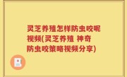 灵芝养殖怎样防虫咬呢视频(灵芝养殖 神奇防虫咬策略视频分享)