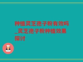 种植灵芝孢子粉有效吗_灵芝孢子粉种植效果探讨