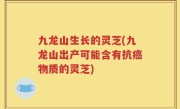 九龙山生长的灵芝(九龙山出产可能含有抗癌物质的灵芝)