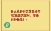 什么几种树灵芝最好用呢(选用灵芝时，哪些树种最佳？)