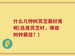 什么几种树灵芝最好用呢(选用灵芝时，哪些树种最佳？)